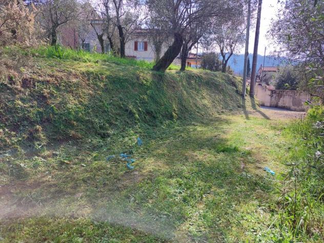 TERRENO AGRICOLO di 10000 mq (CAMAIORE - pieve di camaiore) rif. 1001 - Foto 6
