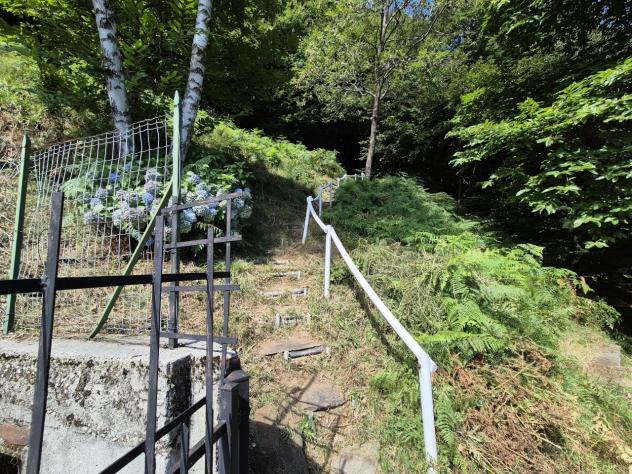 Singola in vendita a Intragna - Foto 7