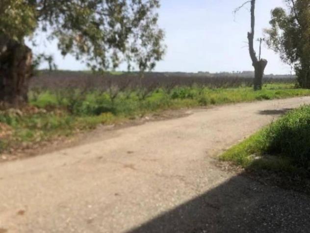 Immobile in asta di 2485532 m² in vendita a Pisticci - Foto 16