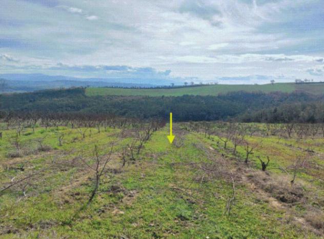 Immobile in asta di 4 m² in vendita a Altomonte - Foto 3