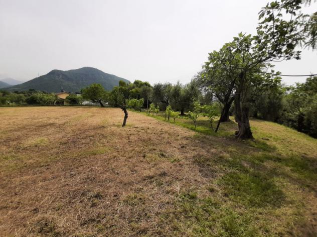 Terreno Agricolo - Roè Volciano . Rif.: 001 TA Trobiolo - Foto 17