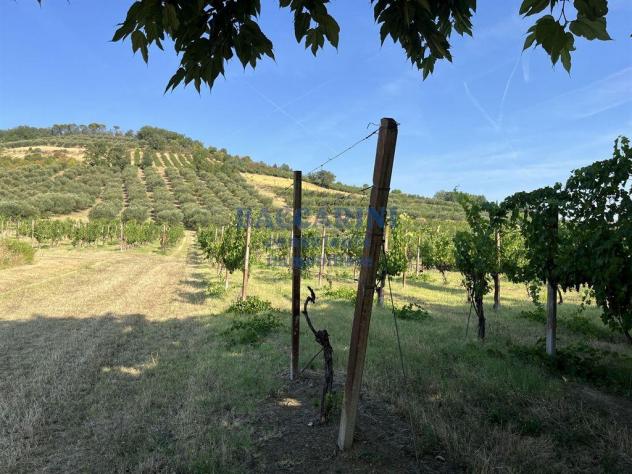 FONDO AGRICOLO CANOVA - BRISIGHELLA VIA FAENTINA VICINO AL CIVICO 95 - Foto 4