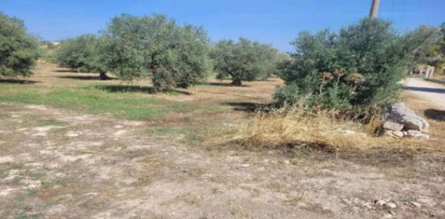 Immobile in asta di 584352 m² in vendita a Ispica - Foto 4