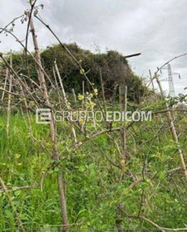 Terreno in vendita a Massa - Rif. 3559520 - Foto 2