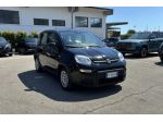FIAT Panda 1.0 FireFly S&S Hybrid rif. 23806196
