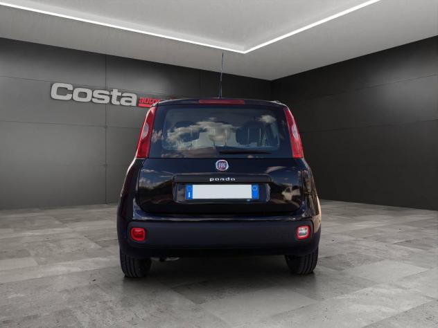 FIAT Panda 3ª serie 1.2 Easy - Foto 6