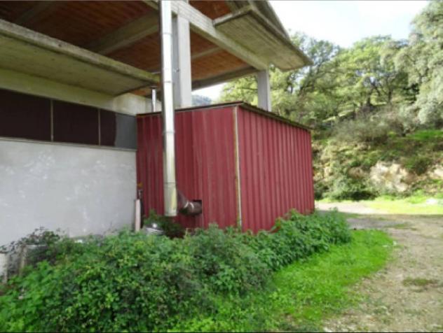 Immobile in asta di 241 m² in vendita a Troina - Foto 7