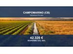 Immobile in asta di 61360 m² in vendita a Campomarino