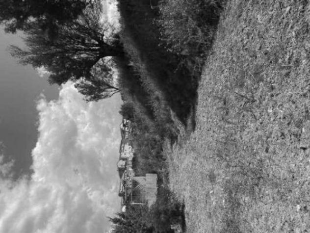 Immobile in asta di 57122 m² in vendita a Catanzaro - Foto 11