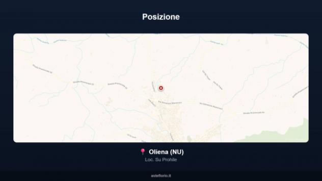 Immobile in asta di 325 m² in vendita a Oliena - Foto 6