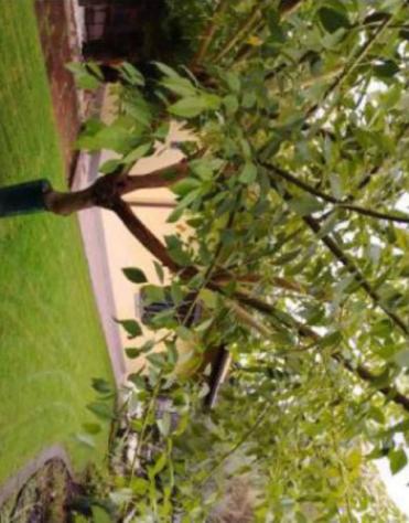 Immobile in asta di 122 m² in vendita a Marino - Foto 14