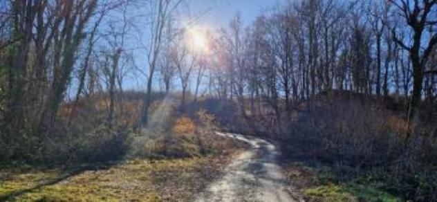 Immobile in asta di 8480 m² in vendita a Carisio - Foto 6
