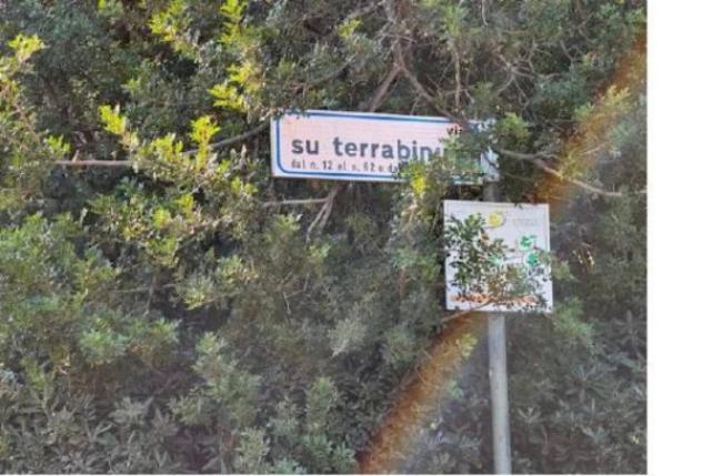 Immobile in asta di 12390 m² in vendita a Olbia - Foto 5