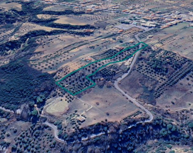 Immobile in asta di 15793 m² in vendita a Pisticci
