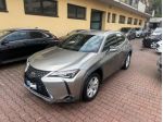 LEXUS UX Full Electric UX Hybrid Business rif. 24117858