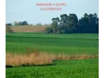 Terreno Residenziale - Chioggia . Rif.: 3657VRG