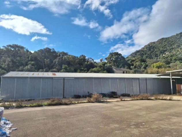 Immobile in asta di 1059 m² in vendita a Guspini - Foto 8