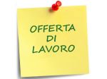 Collaboratrice/Collaboratore negozio informatica e telefonia