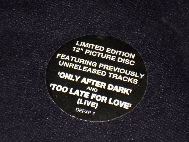 DEF LEPPARD - Let's Get Rocked  LP / 33 12" Picture Disc 1992 Limited Edition UK - Foto 4