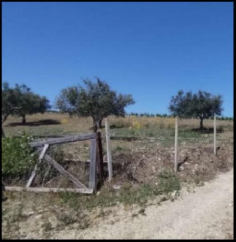 Immobile in asta di 14510 m² in vendita a Monreale - Foto 2
