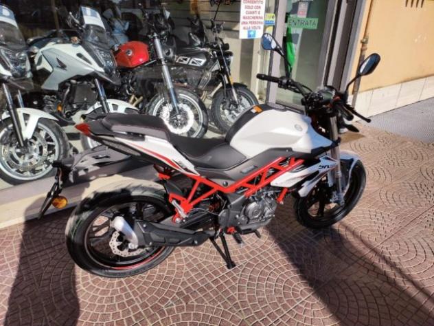 BENELLI BN 125 EURO 5 - NUOVO MODELLO 2025 - FINANZIABILE rif. 23992625 - Foto 7