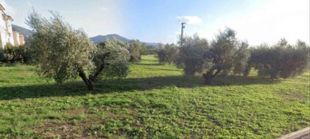 Immobile in asta di 3906 m² in vendita a Scarlino - Foto 2