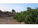 VENDITA TERRENO AGRICOLO C.DA RENNA VILLA CASTELLI