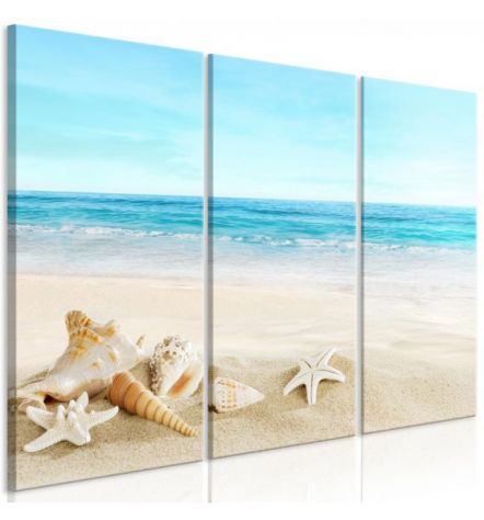 Quadro Con Le Stelle Marine Cm. 90x60 E 120x80 ARREDALACASA