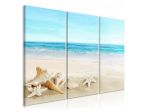 Quadro Con Le Stelle Marine Cm. 90x60 E 120x80 ARREDALACASA