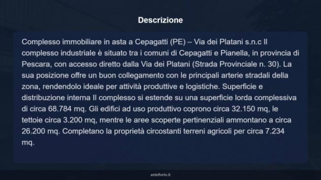 Immobile in asta di 68784 m² in vendita a Cepagatti - Foto 9