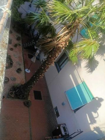 Pentalocale in vendita a Savona - Foto 3