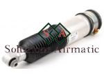 BMW Serie 7 E65 ammortizzatore posteriore sinistro 37126758573