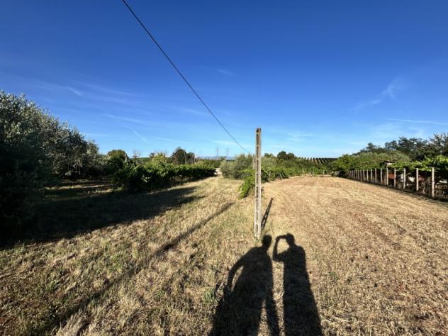 Agricolo in Via Presciano - Foto 3