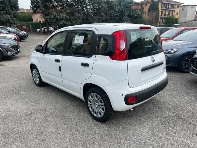FIAT Pandina Pandina 1.0 firefly hybrid Icon s&s 65cv - Foto 7