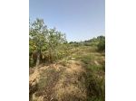 Terreno agricolo in vendita a Limoncino - Livorno 1647 mq  Rif: 1431983