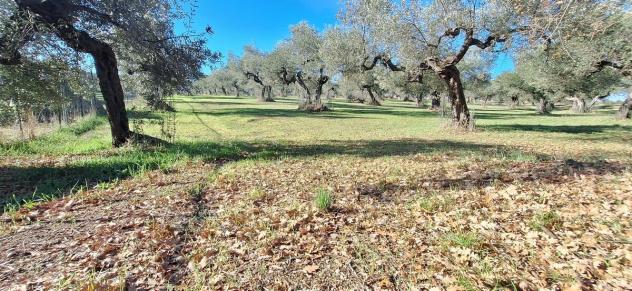 Magazzino in vendita a Loreto Aprutino - Foto 16