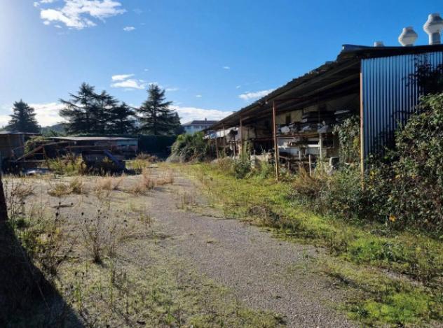 Immobile in asta di 7920 m² in vendita a Perugia - Foto 8