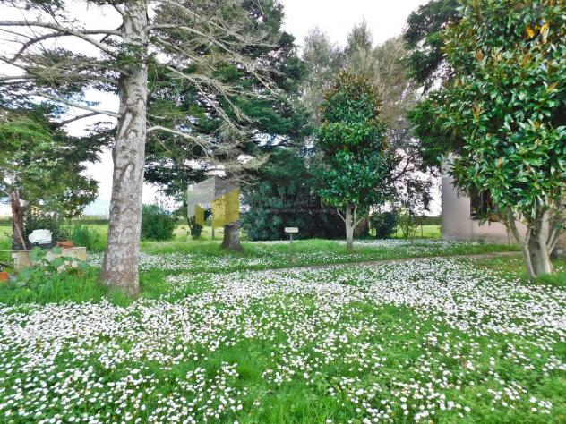 Casa semindipendente in vendita a San Giuliano Terme 300 mq Rif: 1317634 - Foto 2