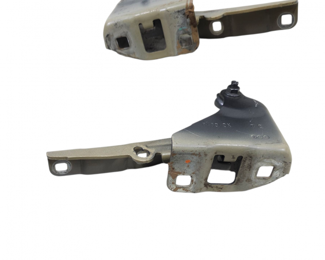 CERNIERE COFANO ANTERIORE DX E SX FIAT Panda Cross 51841973 (14) - Foto 8