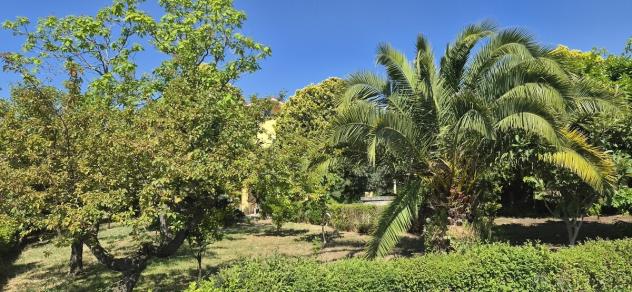 Casale in vendita a Loreto Aprutino - Foto 9