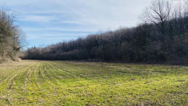 Immobile in asta di 19946 m² in vendita a Rosta - Foto 3