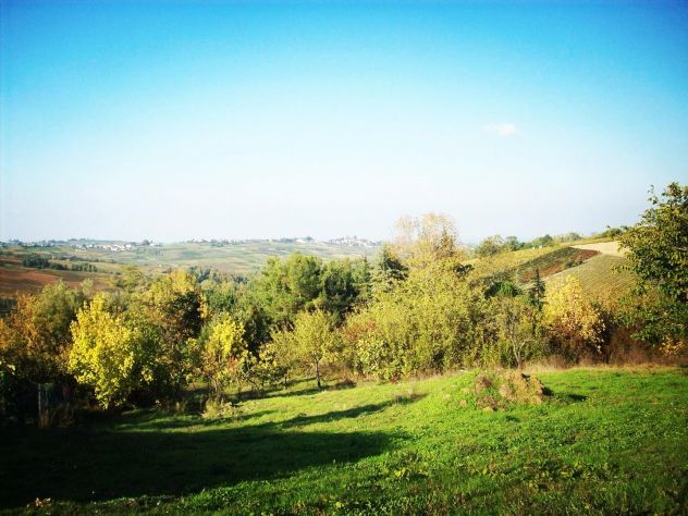 Terreno edificabile panoramico 1700 mq – colline Val Tidone - Foto 6