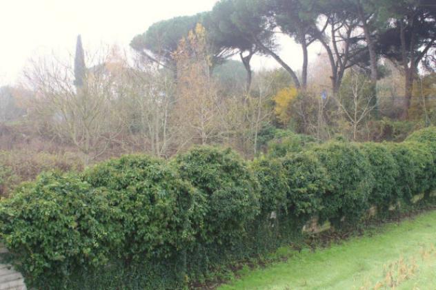 Immobile in asta di 54 m² in vendita a Capannoli - Foto 15