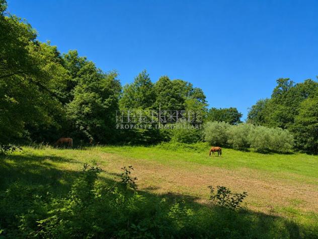 Terreno agricolo con magazzino e pozzo - Foto 6