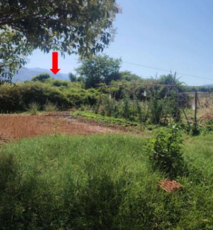 Immobile in asta di 143 m² in vendita a Cisterna di Latina - Foto 4