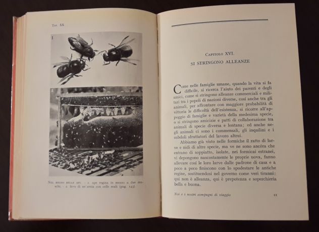 NOI E I NOSTRI COMPAGNI DI VIAGGIO, MARIA BARGONI STURA, G. PRINCIPATO 1941. - Foto 7