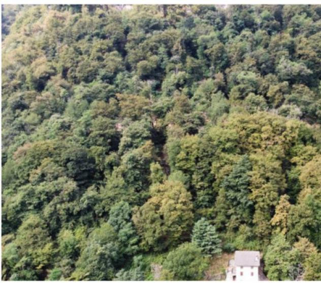 Immobile in asta di 3170 m² in vendita a Brienno - Foto 3