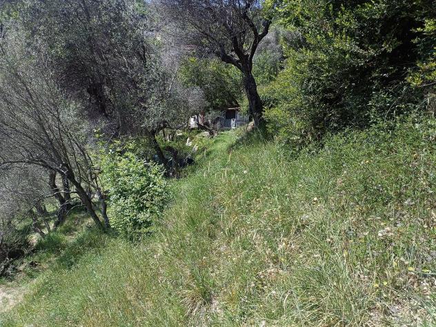 Terreno agricolo in vendita a Fontia - Carrara 3000 mq Rif: 798593 - Foto 10