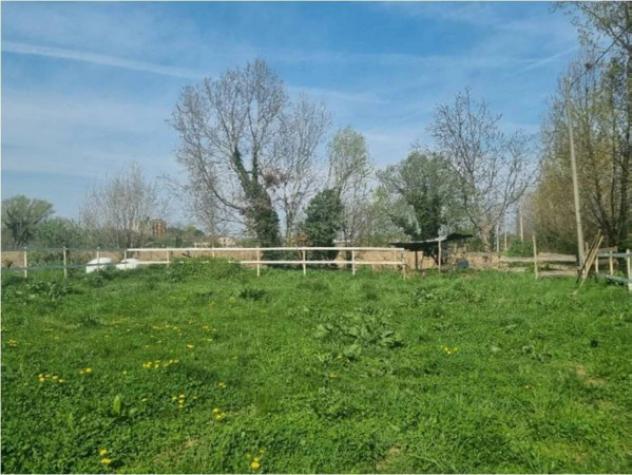 Immobile in asta di 387 m² con più di 5 locali e box auto in vendita a Cologna Veneta - Foto 8