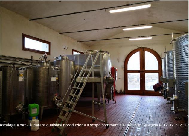 R.G.E. 128/2023 Siena - Foto 12